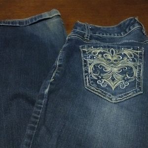 Aria Exclusively Curvy Straight LegJeans Size 5/6
